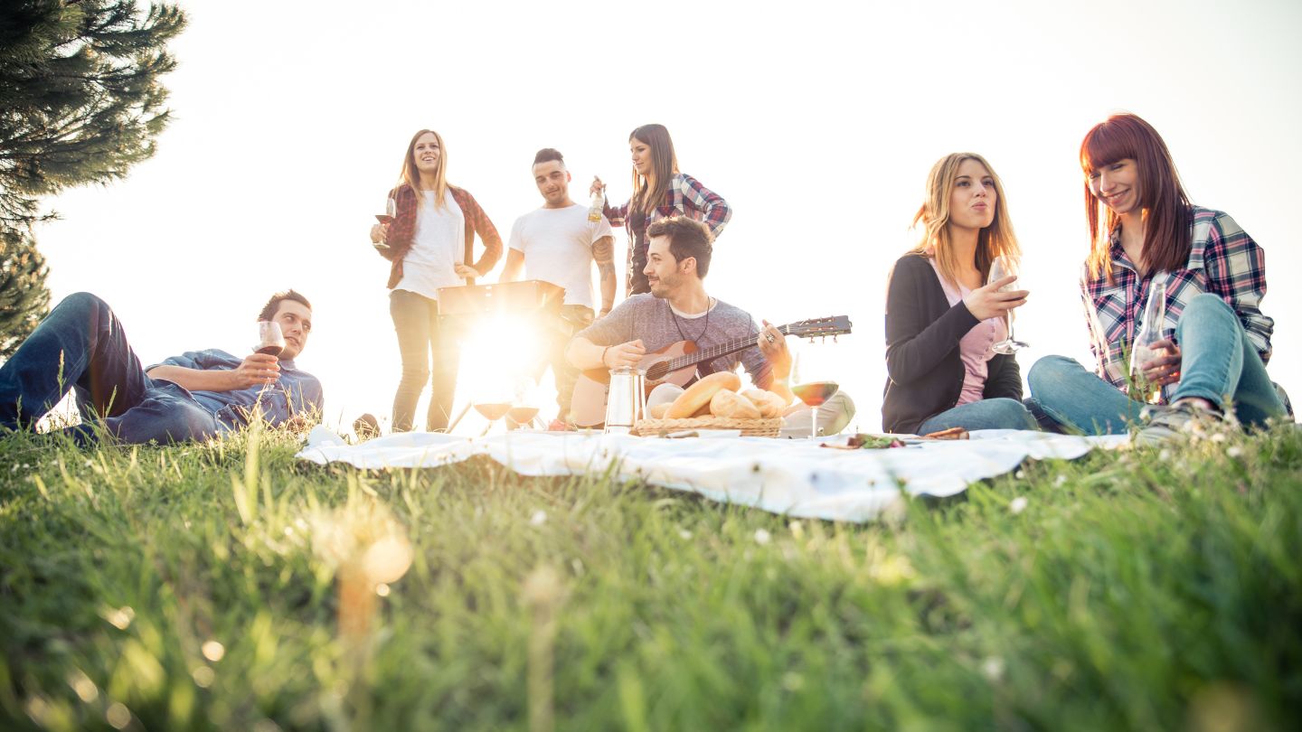 Picnic party for children and adults