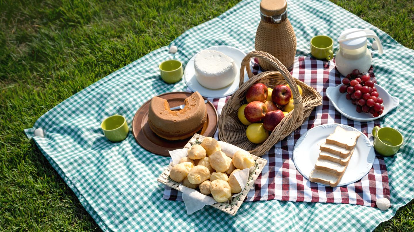 Picnic party for children and adults