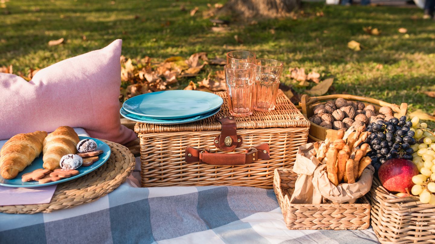 Picnic party for children and adults